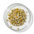 Chamomile